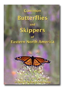 Butterfly DVD cover
