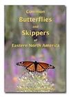 Butterflies DVD Cover