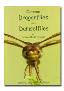 Drangonflies and Damselflies cover