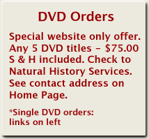 dvd offer